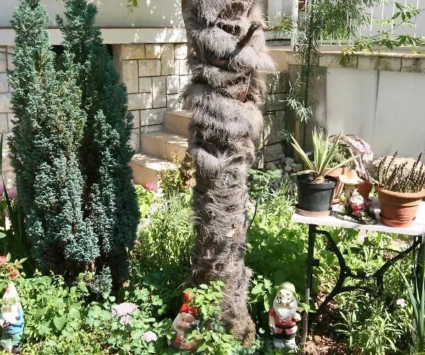 5366b شقة سيلتسي