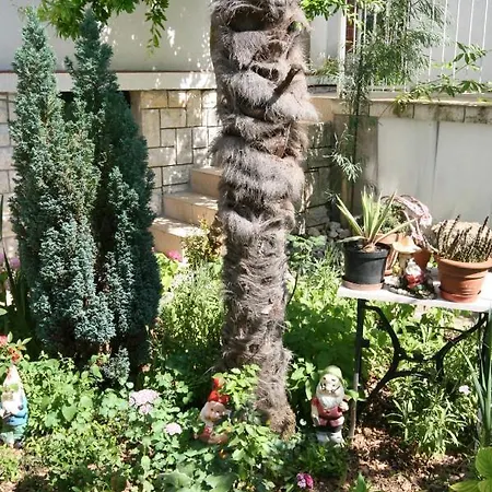 5366b Apartamento Selce